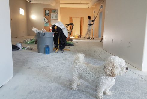 House renovation